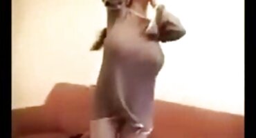 છોકરી સ્વેચ્છાએ તેના બોયફ્રેન્ડ મૌખિક આનંદ પહોંચાડવા બીપી સેકસી વીડીયો પિચર