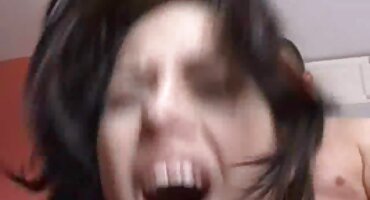 બે સુંદરીઓ સાથે બોમ્બસ્ટિક ઘોડો સેકસી પીચર વીડીયો ચુંબન