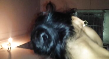 એક યુવાન ઇંગ્લીશ સેકસી વીડીયા માણસ તેના પ્રેમીના ટોટી પર ગયો.